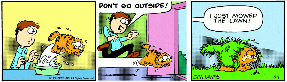 Garfield, May 1, 1980