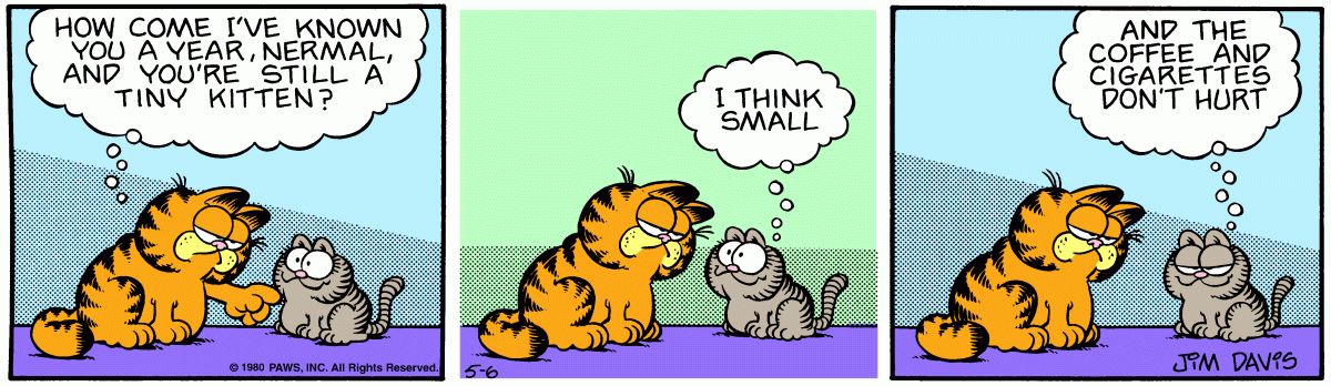 Garfield, May 6, 1980