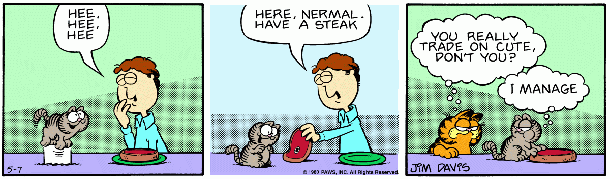 Garfield, May 7, 1980