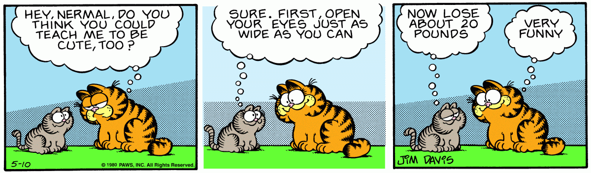 Garfield, May 10, 1980