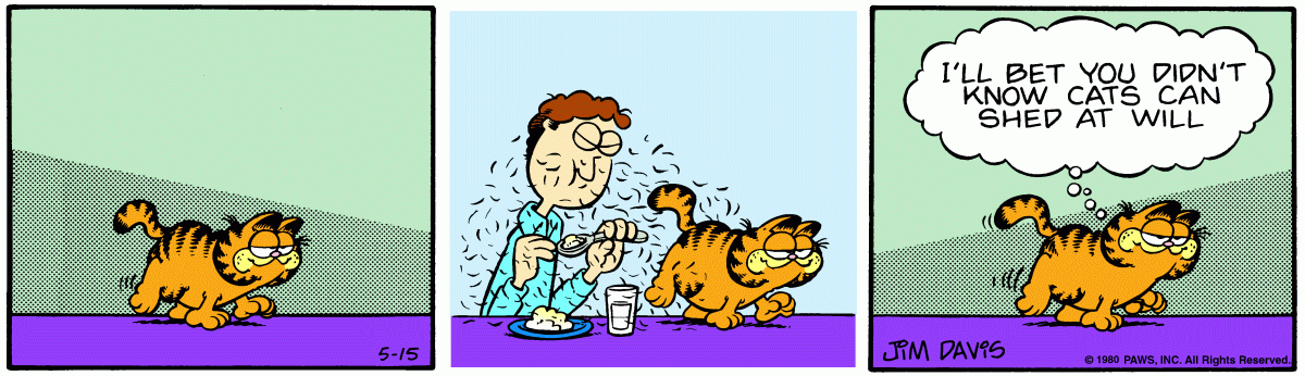 Garfield comic strip for Thursday, May 15, 1980