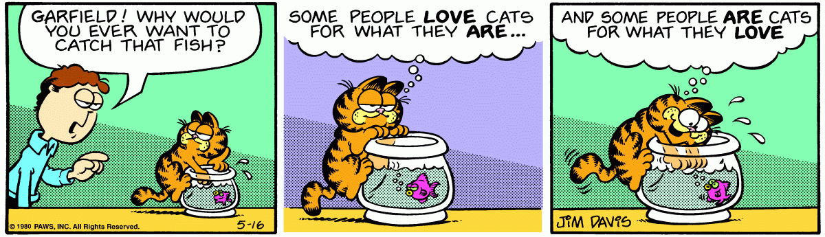 Garfield, May 16, 1980