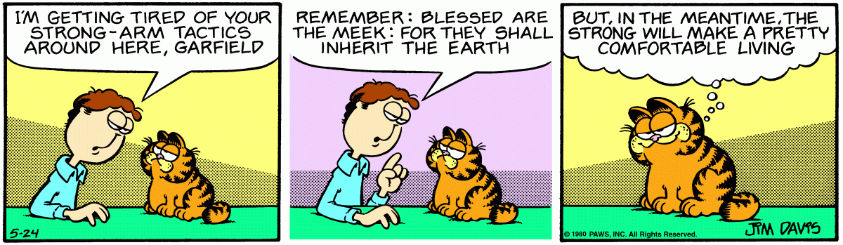 Garfield, May 24, 1980