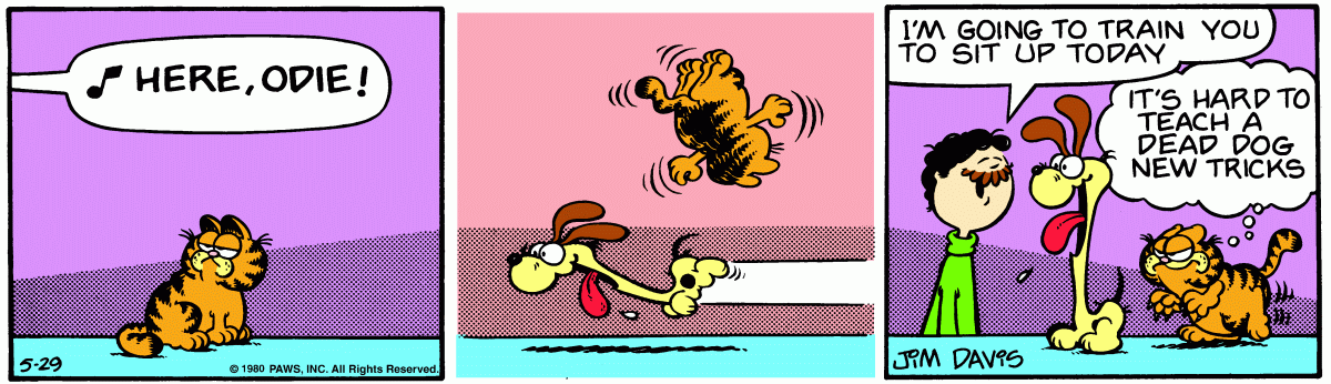 Garfield, May 29, 1980