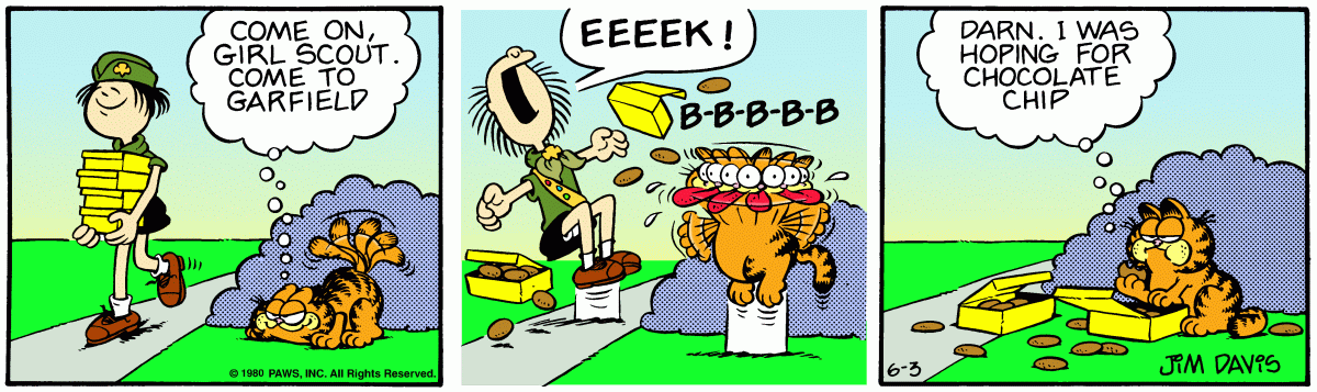 Garfield, June 3, 1980
