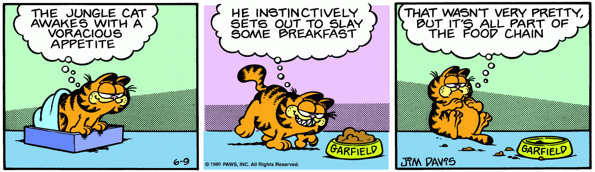 Garfield comic strip for Monday, June 9, 1980