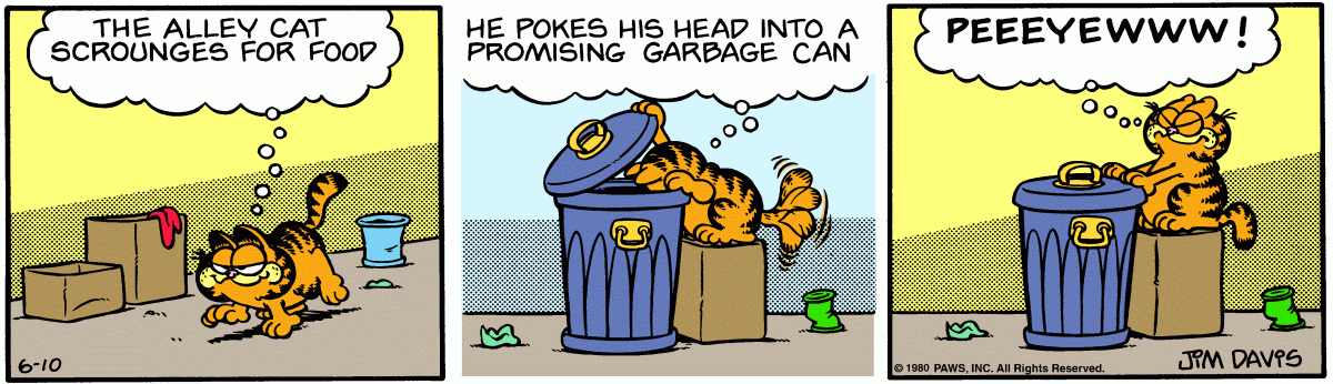 Garfield, June 10, 1980