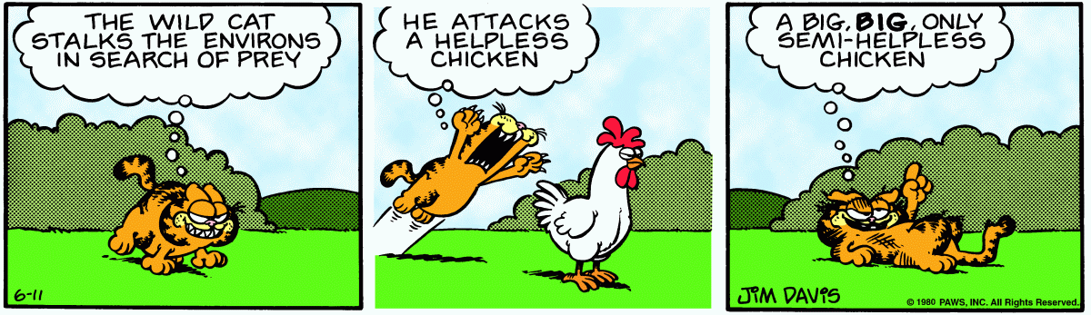 Garfield, June 11, 1980