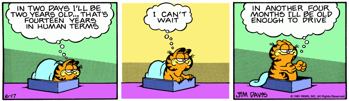 Garfield, June 17, 1980