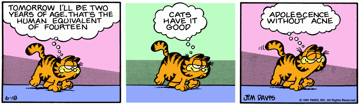 Garfield, June 18, 1980