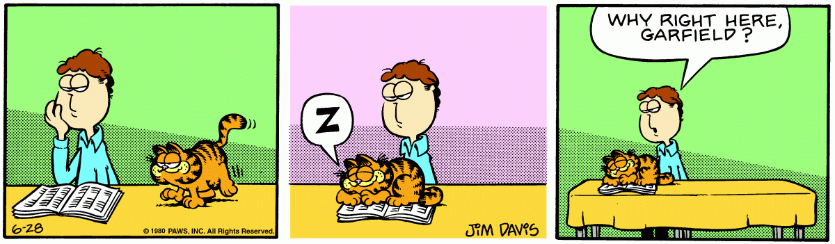 Garfield, June 28, 1980