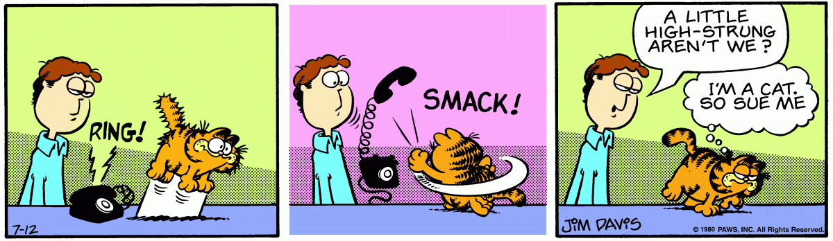 Garfield, July 12, 1980
