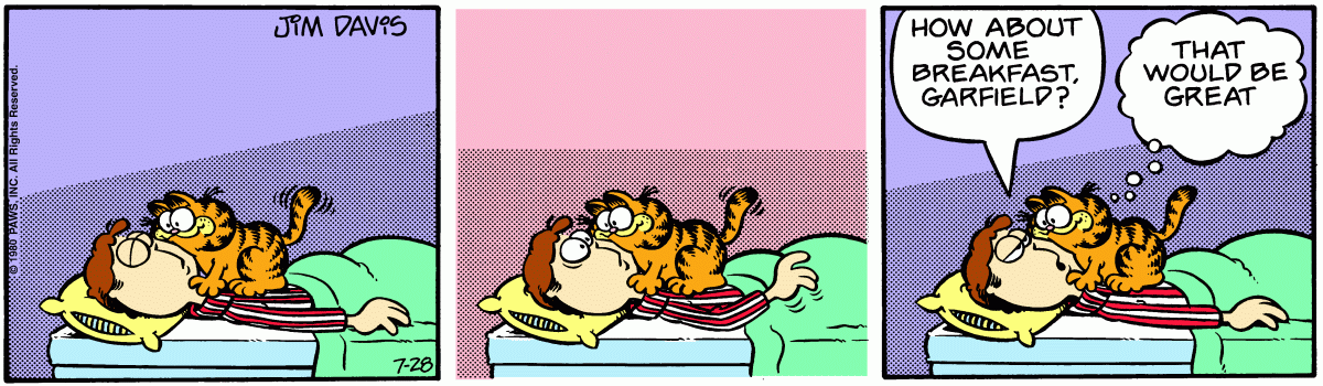 Garfield, July 28, 1980