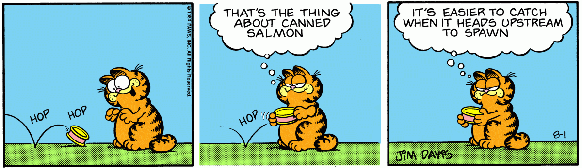 Garfield, August 1, 1980