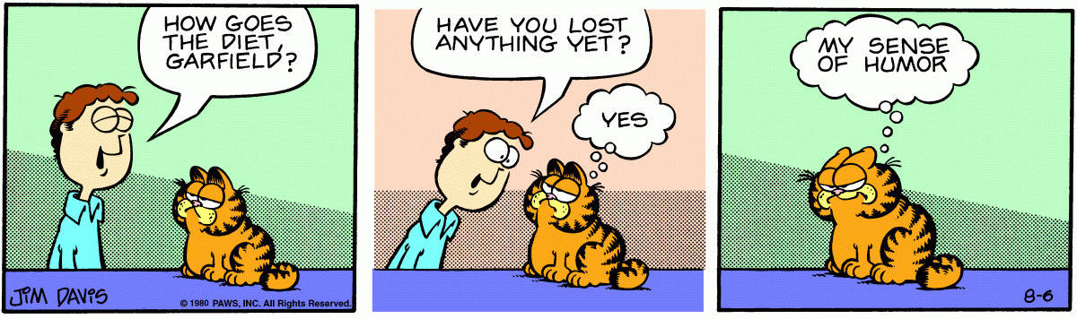 Garfield, August 6, 1980