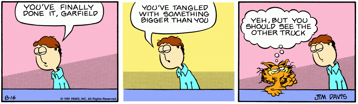 Garfield, August 16, 1980