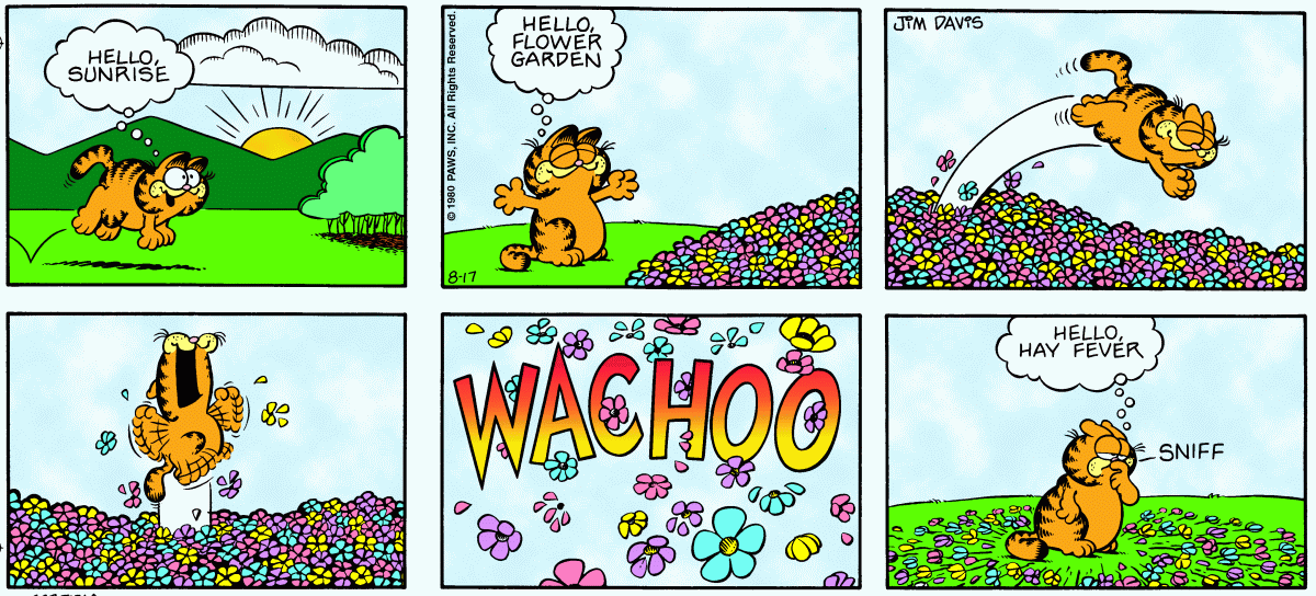 Garfield, August 17, 1980
