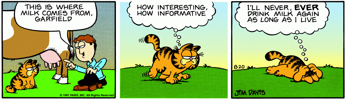 Garfield, August 20, 1980