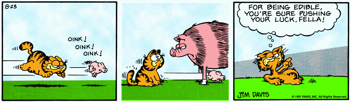 Garfield, August 23, 1980