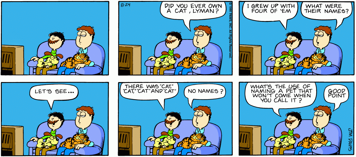 Garfield, August 24, 1980