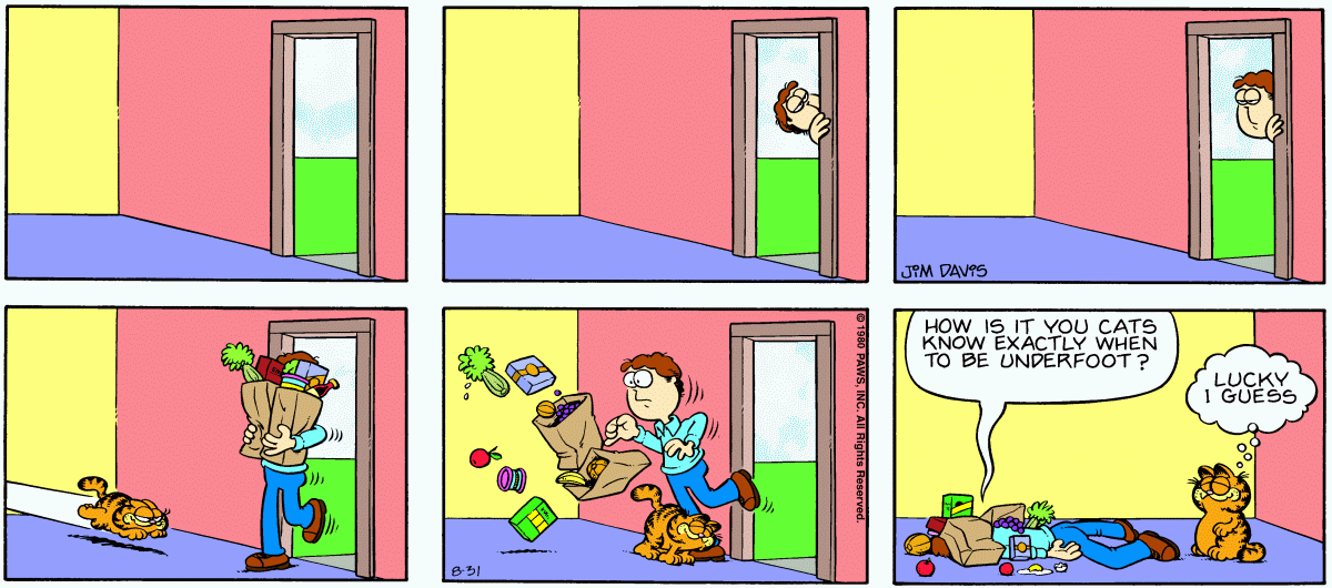 Garfield, August 31, 1980