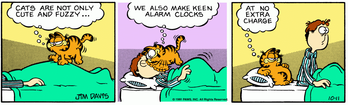 Garfield comic strip for Saturday, October 11, 1980