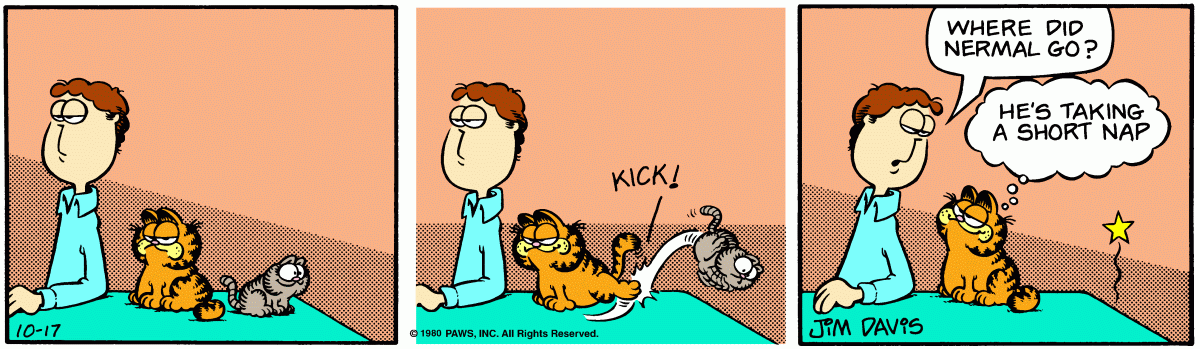 Garfield comic strip for Friday, October 17, 1980