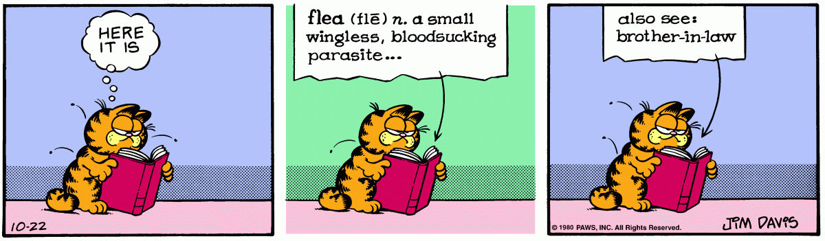 Garfield, October 22, 1980