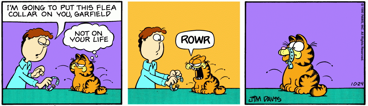 Garfield, October 24, 1980