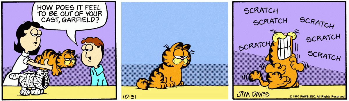 Garfield comic strip for Friday, October 31, 1980