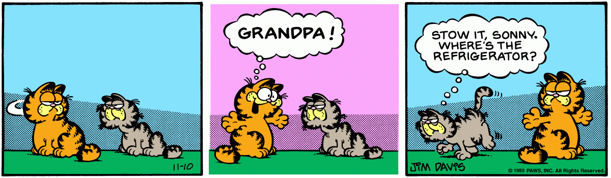 Garfield comic strip for Monday, November 10, 1980