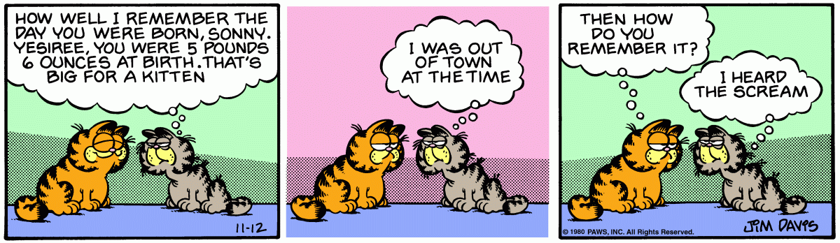 Garfield, November 12, 1980