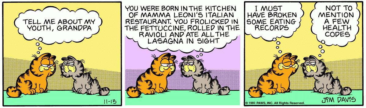 Garfield comic strip for Thursday, November 13, 1980