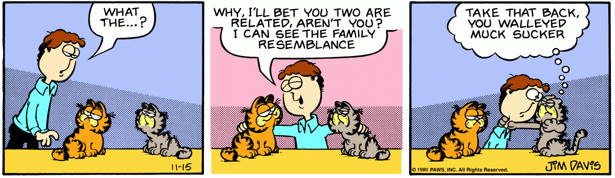 Garfield, November 15, 1980