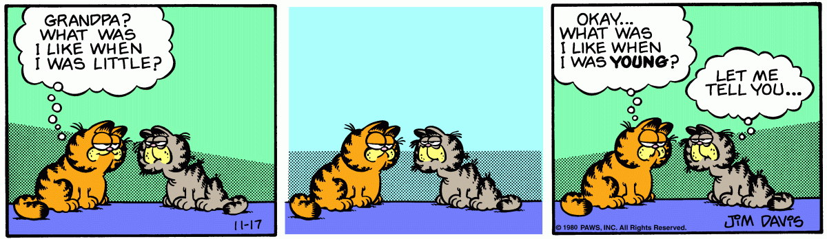 Garfield, November 17, 1980