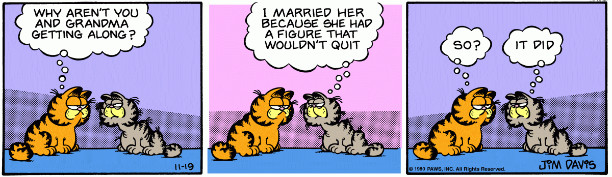 Garfield comic strip for Wednesday, November 19, 1980