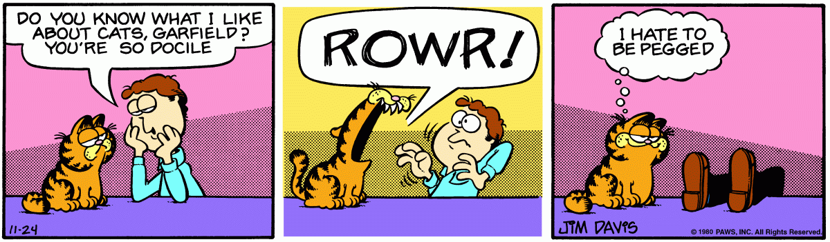 Garfield comic strip for Monday, November 24, 1980