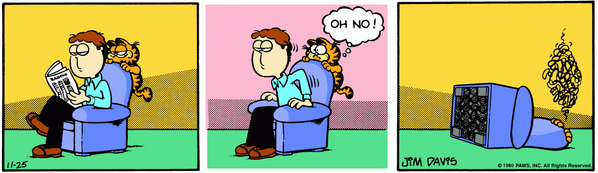 Garfield comic strip for Tuesday, November 25, 1980