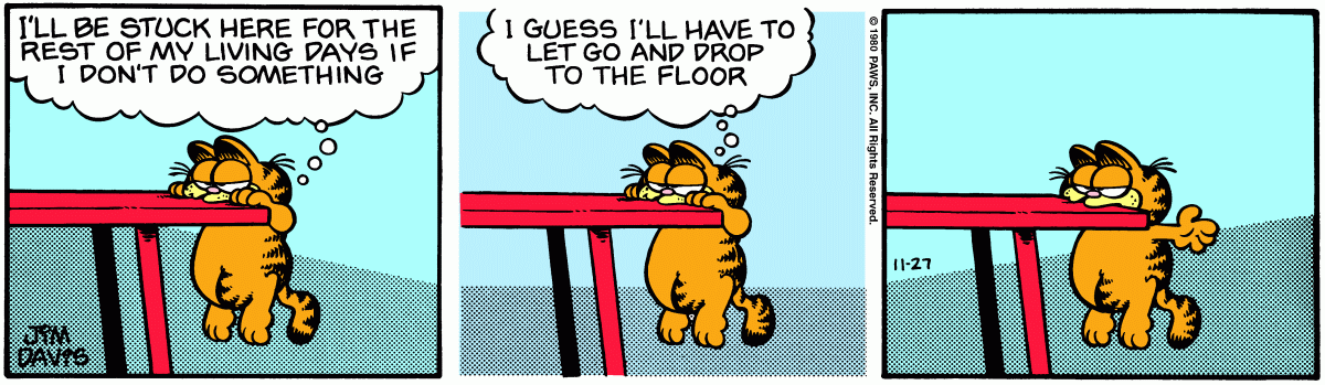 Garfield comic strip for Thursday, November 27, 1980