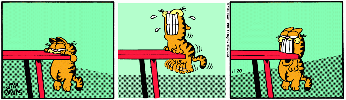 Garfield, November 28, 1980