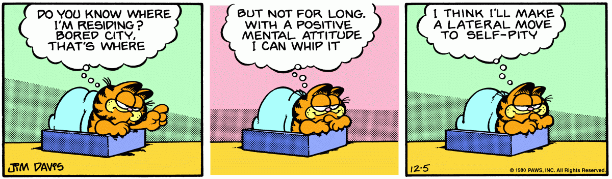 Garfield comic strip for Friday, December 5, 1980