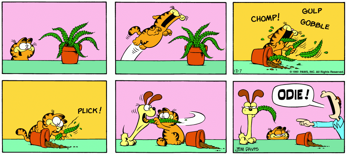 Garfield, December 7, 1980