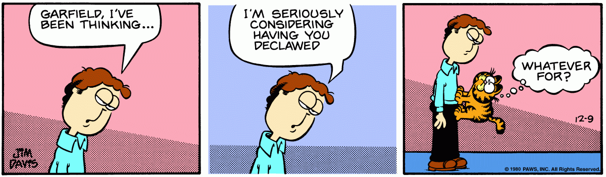 Garfield, December 9, 1980