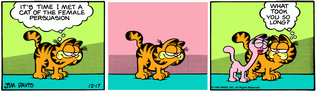 Garfield, December 17, 1980
