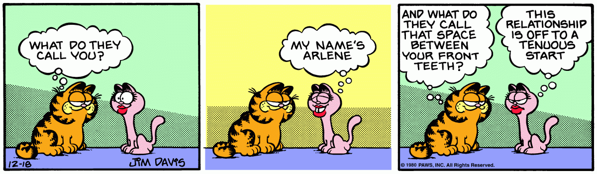 Garfield, December 18, 1980