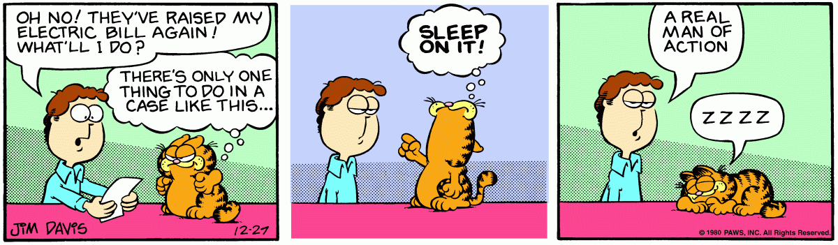 Garfield comic strip for Saturday, December 27, 1980