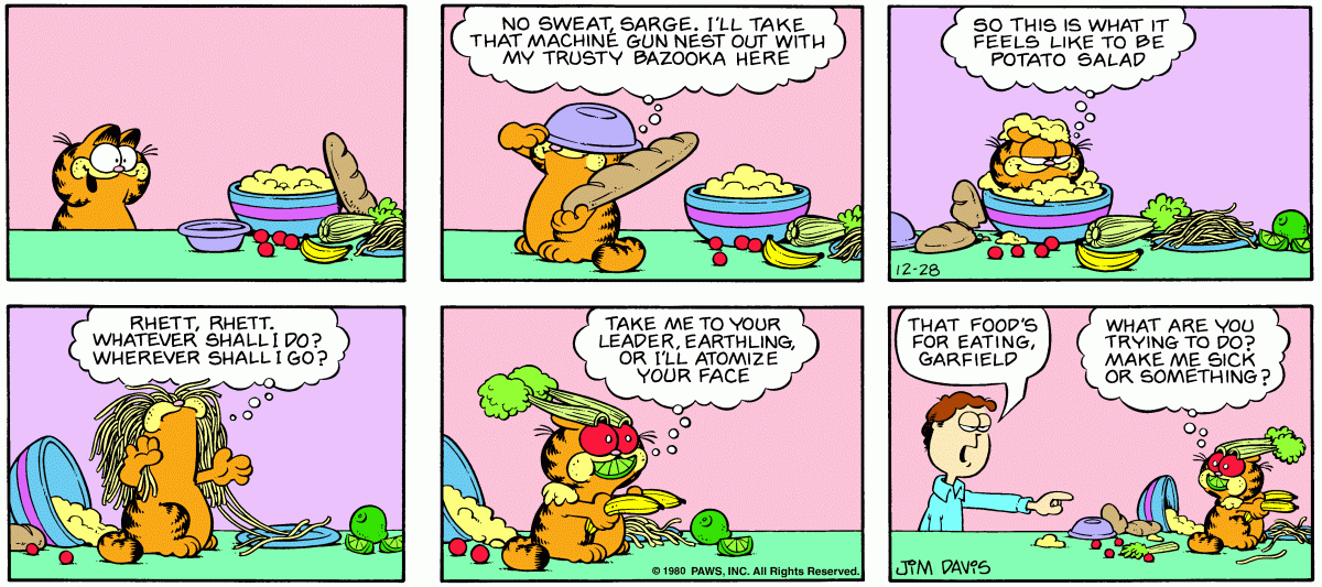 Garfield, December 28, 1980