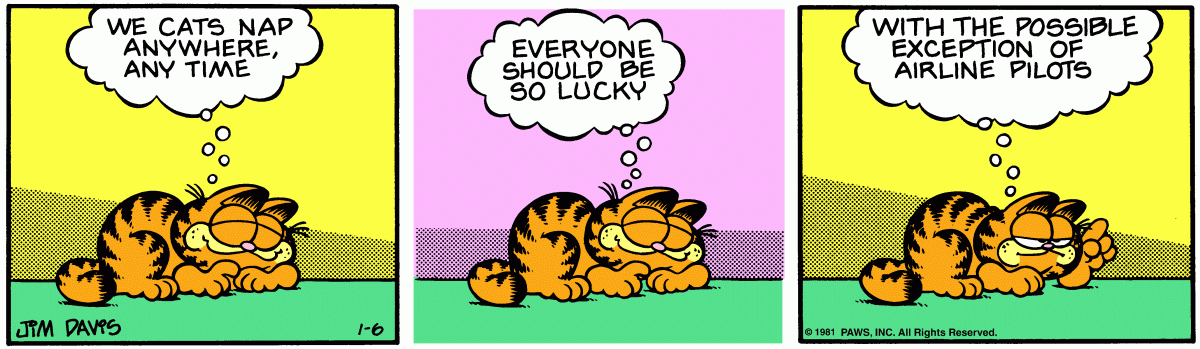 Garfield, January 6, 1981