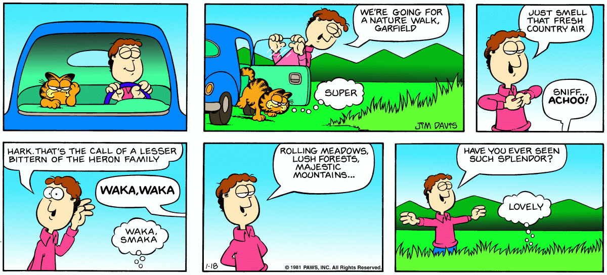 Garfield, January 18, 1981