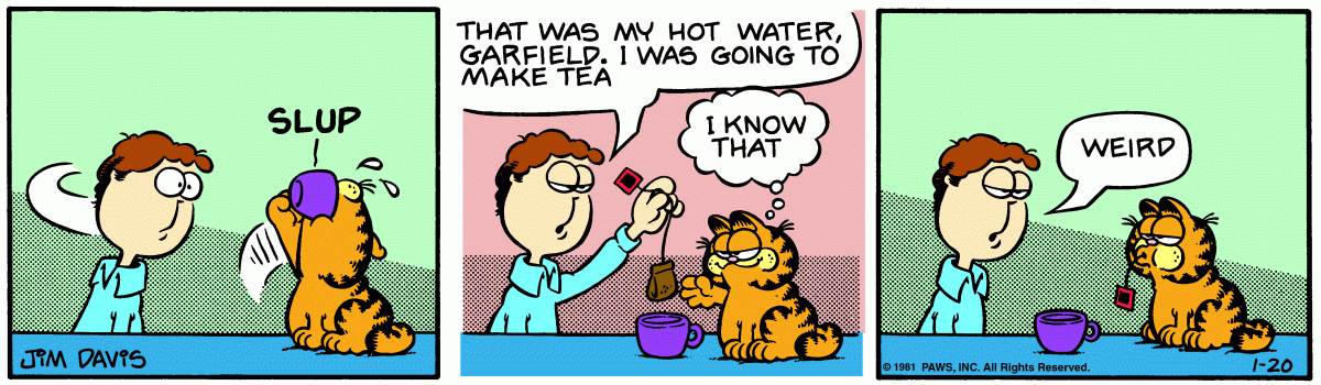 Garfield, January 20, 1981